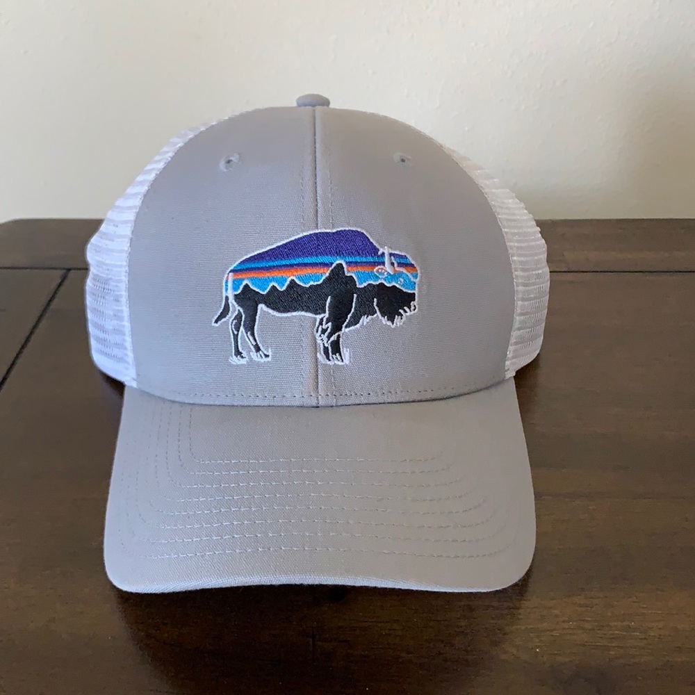 Patagonia Baseball Cap